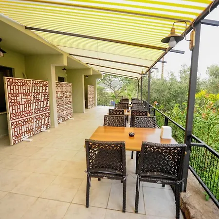 Assos No9 차나칼레